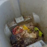 Inside of a dirty trash can with rotting food waste before a Rad Cans cleaning