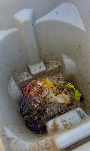 Inside of a dirty trash can with rotting food waste before a Rad Cans cleaning